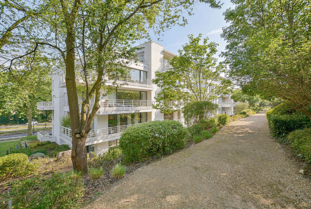 Appartement &agrave; louer &agrave; Watermael-Boitsfort